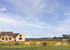 Four Acres Living