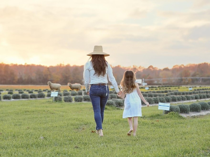 Brittingham Farms