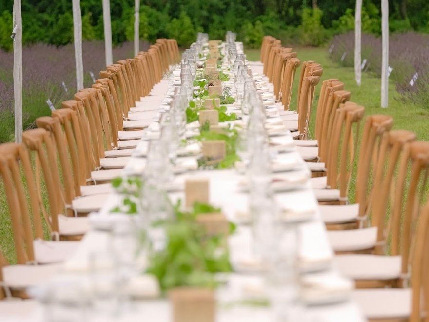 Brittingham Farms