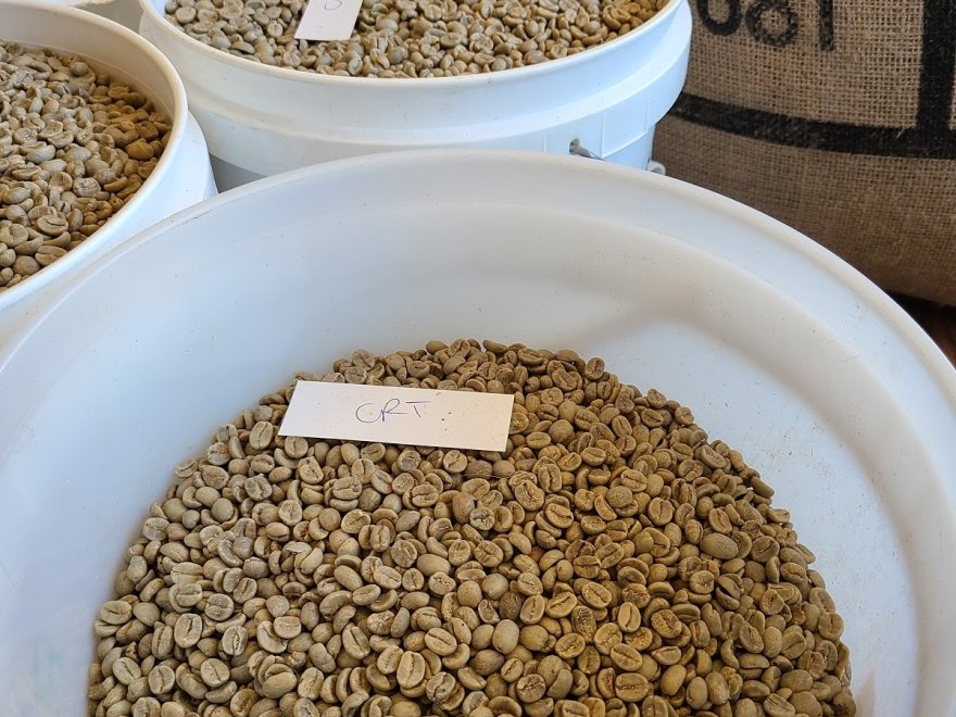 Notting Hill Coffee Roastery